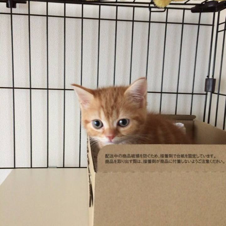 90510df3 0865 4145 9f68 99ec65c98d71