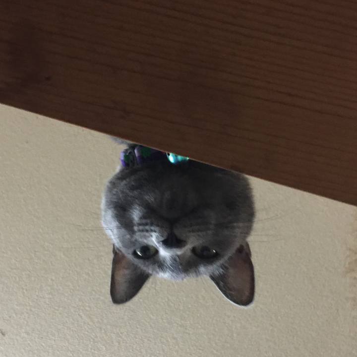 90511605 f6a5 4776 8502 5b415599c810