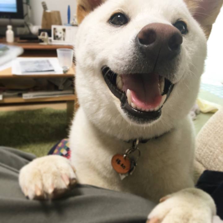 90519364 b09b 4771 9582 ca93fc03d862