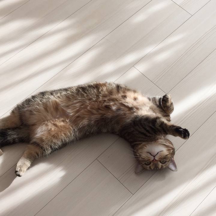 9051d48b f9f6 4a2a 80e0 70cb00d3018e