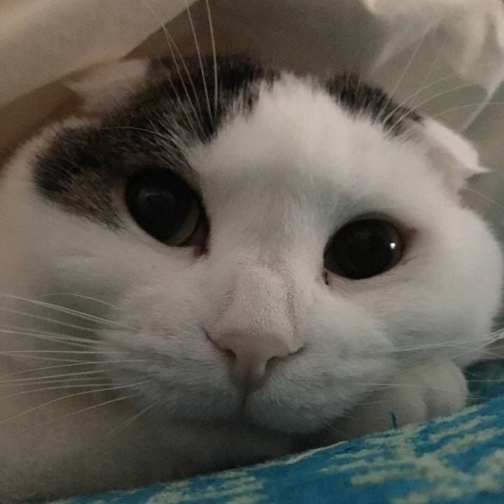 9051f5e9 a7df 476e 9009 bd636017a8a1