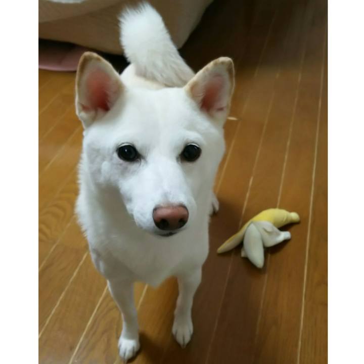 9052040f 697f 4ac7 bfdf a71a81e0eab6