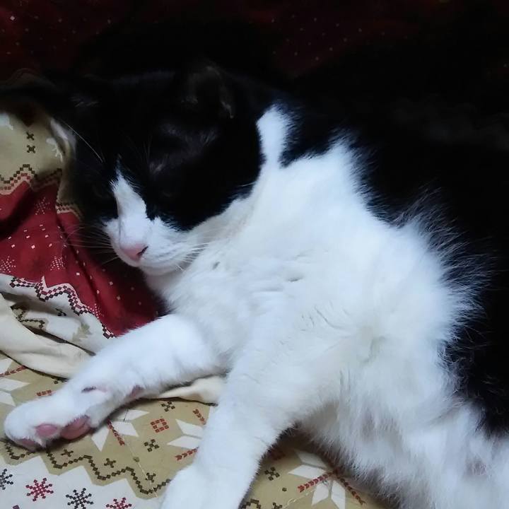 90521dd0 e525 4f3b af26 e8a7b0ab8af2