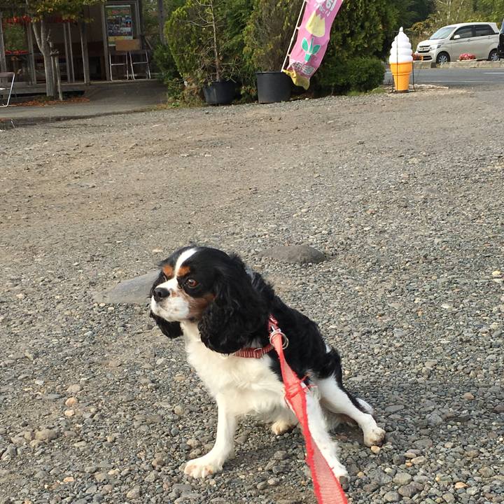 905237e1 4c1d 4c3c bef5 6a86dd22fd99