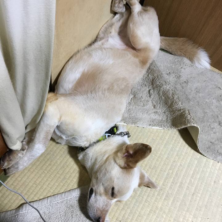 9052e342 8a6f 4195 997b 7cf42f771c0a