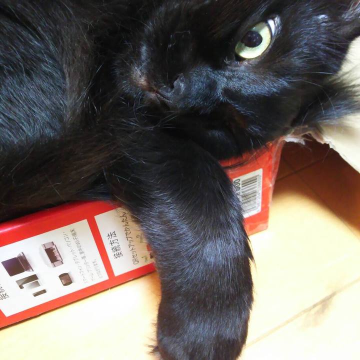 9052e435 edc5 4950 a7d8 4b10be357450