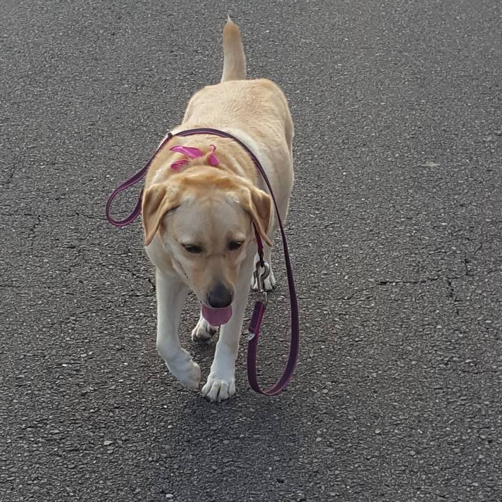 90530aab 6291 498e b5b6 0f50ec5897d5