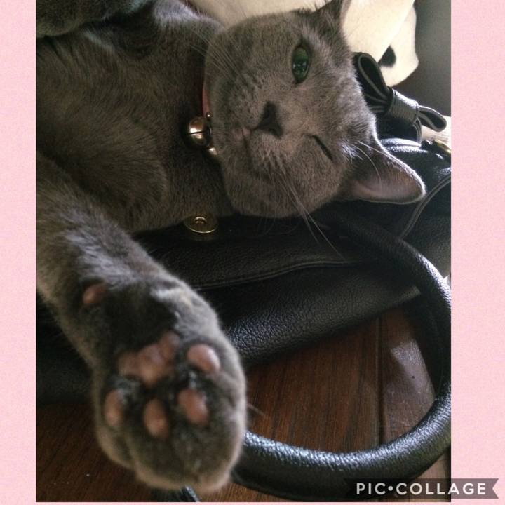 90532ee8 d3f1 4e55 ab8f 1cb3a936925e