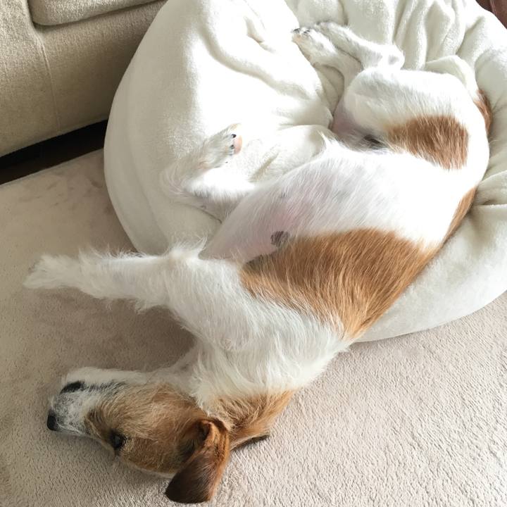 9053feb4 a7a6 4649 bdbc e2eaa921619a