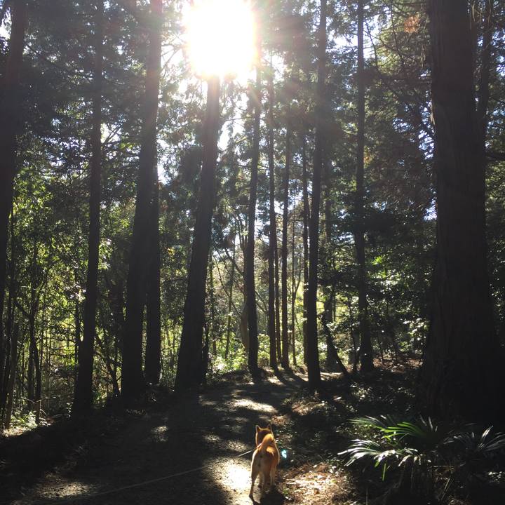 90543109 f61f 453e bfc6 25ee39901a4c