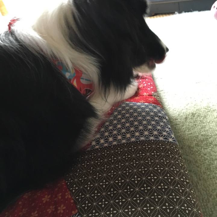 90548aa4 b5cb 4c9c a6f2 7ef38b6dcc70