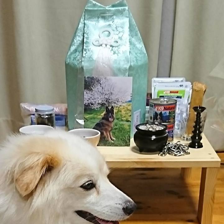 9054d1f9 62c4 4be1 a26d 6fee7fbbe530