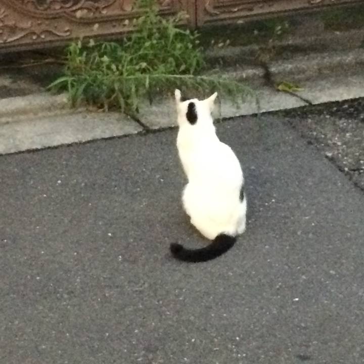 9055325a 00b7 4d69 8727 8272a154060e