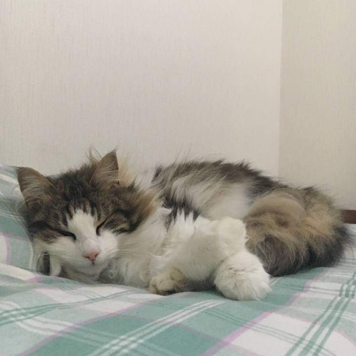 90554186 0550 40ef 9ba1 80a7c9eca190