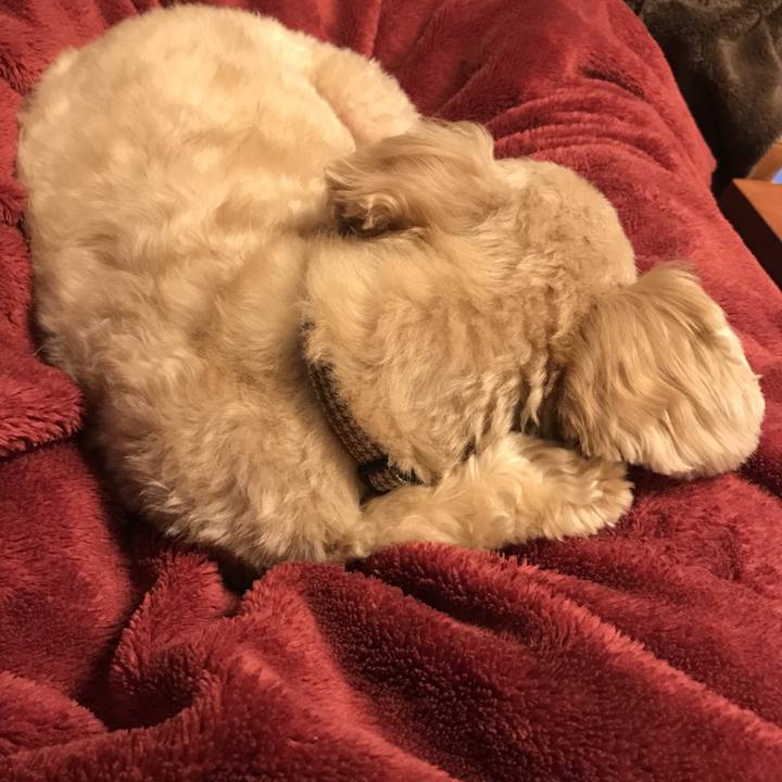 90557d37 a329 4145 b97c c5fcb2df1f7c