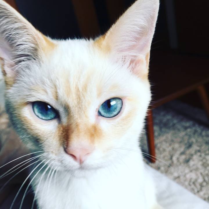 9055e7bc 6df0 4a3f bdf1 c7511da29289