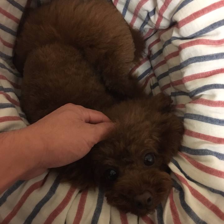 90563e90 aa23 4208 9587 f5e31439f744