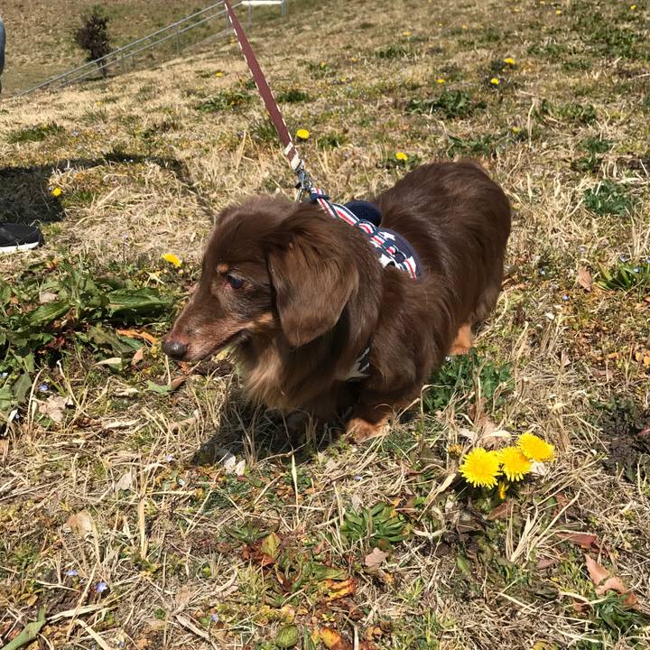 90563f45 211a 45bf 8786 e9e72cf1521c