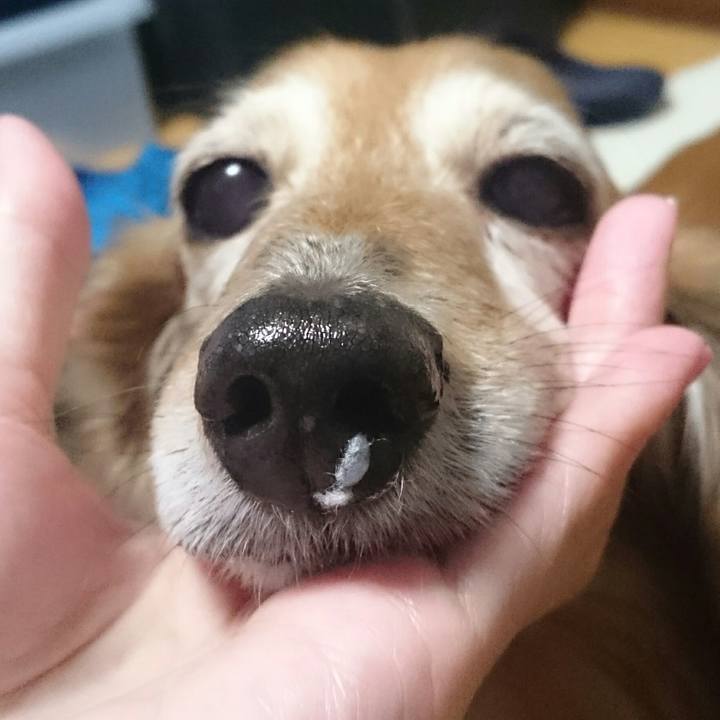 90564c79 99c0 4544 9b73 4ffd9be3b851