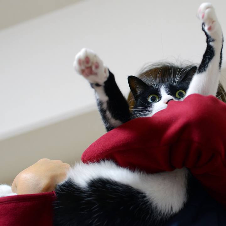 905767a0 6a43 4897 88aa 472bba860caa