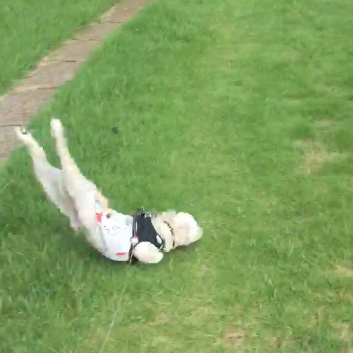 9057c7eb c049 4be9 8ce1 14432f3cc78b