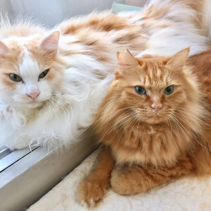 9057f06d 9309 4f02 a8e9 9036beca5e37