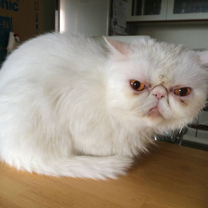 905833fb 7159 4077 9131 b1bf6654b81a