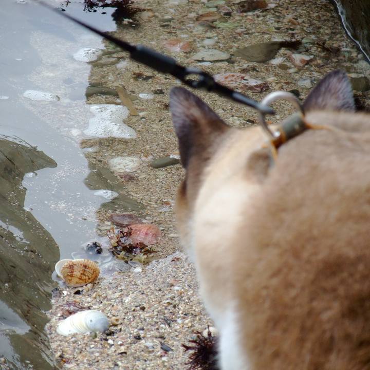 9058e5f2 41ae 4e69 a76e 603e370c7110