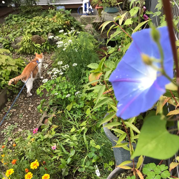 9059568d ff2e 472f 9e7e 115430a9ec12