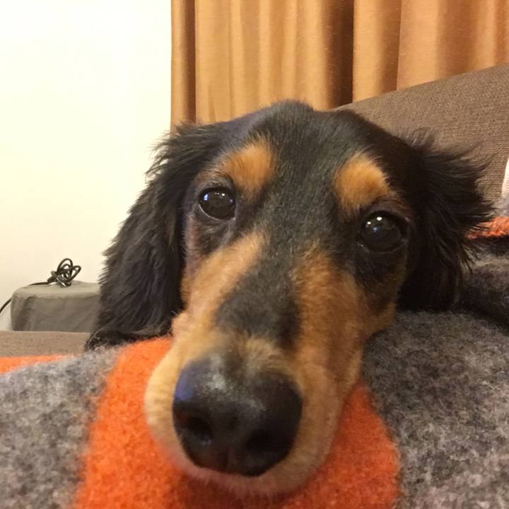 90596289 94e8 41e9 bd18 ebc3cee173a3