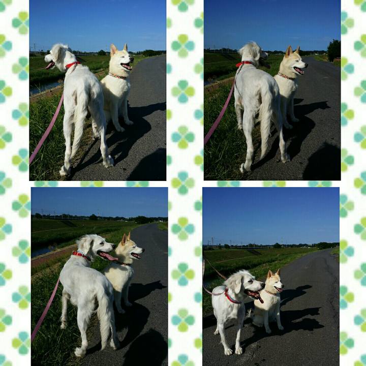 905a82e5 07f6 43cc a619 e1729951f525