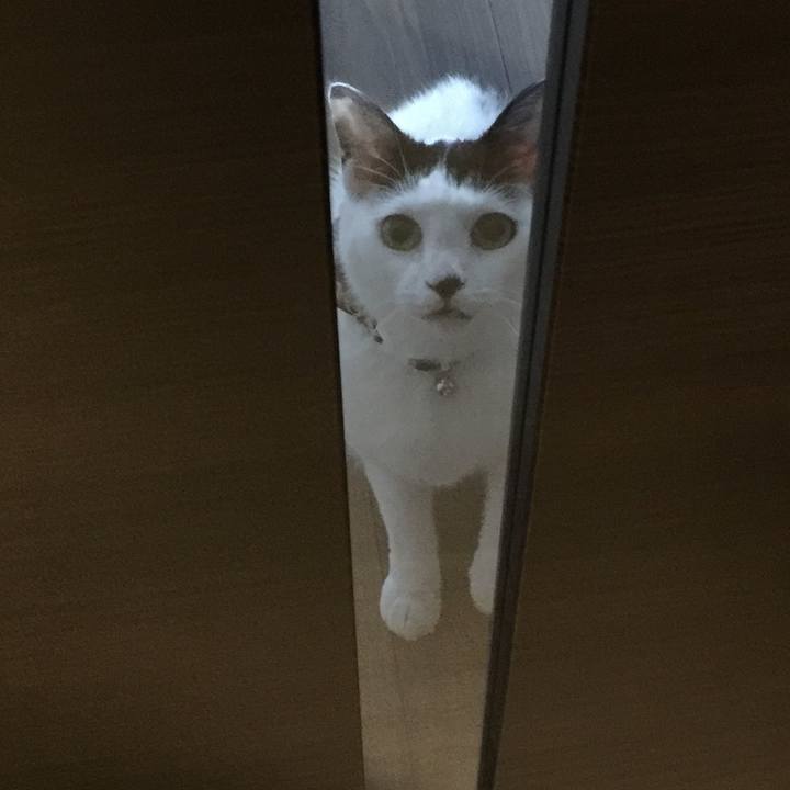 905a95bb ad7e 4f09 9b9d e9143870042a