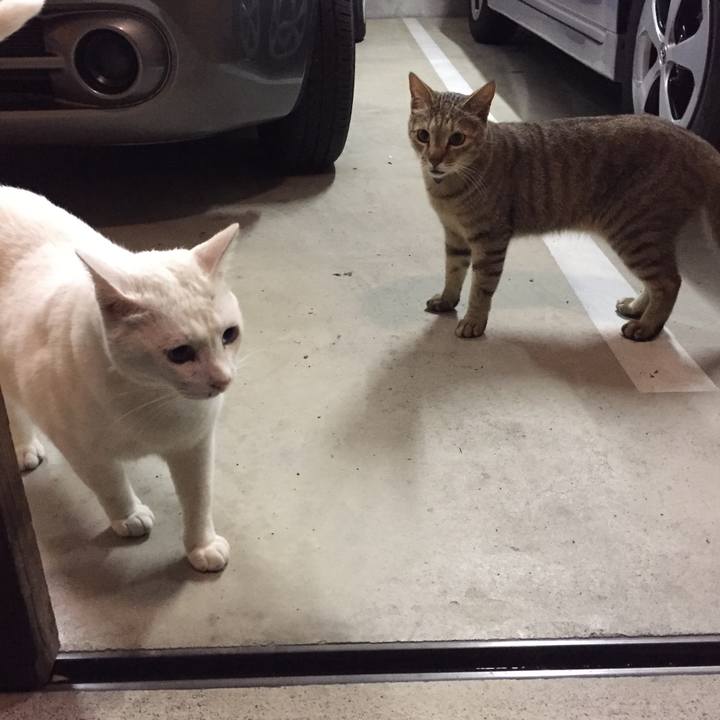 905b7f99 e5d5 4c57 acff 9a1c03a28dfe