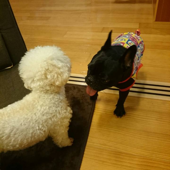 905bed7d 75fc 43b2 8963 0fa71f3b8214