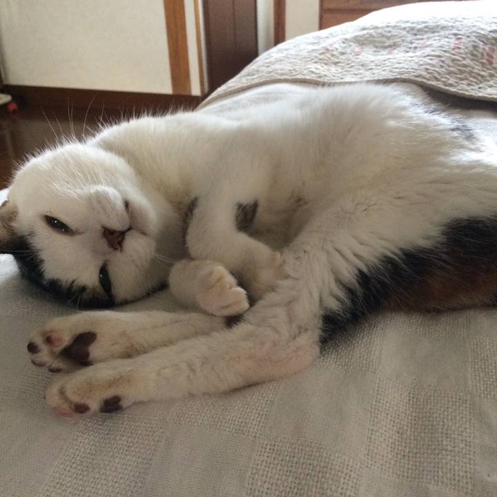 905c3fe5 d49f 4114 a5b3 c77a582b1d60