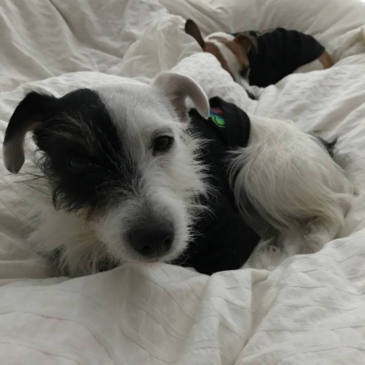 905cdaa1 f048 4cb9 a2fb 1aebefffaa2d