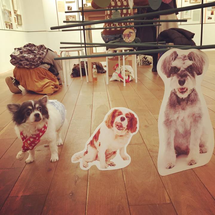 905d0e18 c646 4731 8dcf 9b559d670fe2