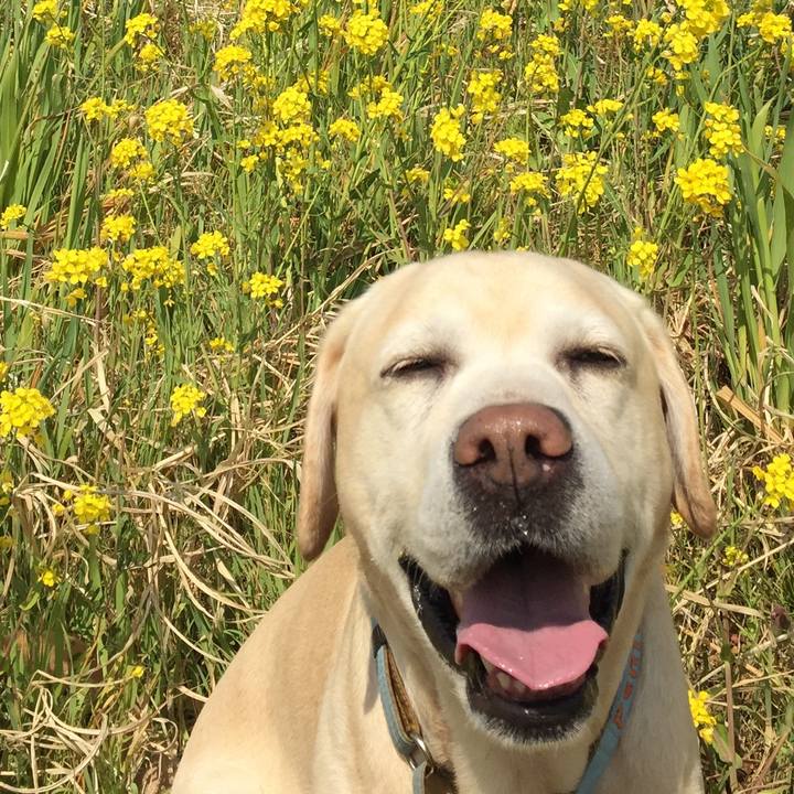 905d305e 2bc7 4f93 b47e 67b19102854e