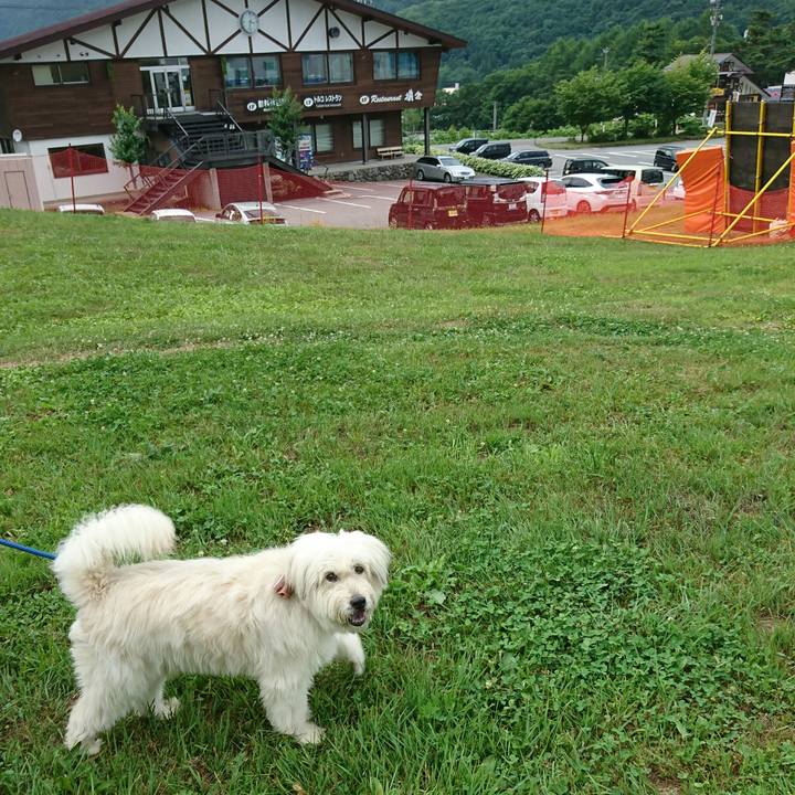 905e0298 b2ce 4cfd 944c c86e245e5fd9