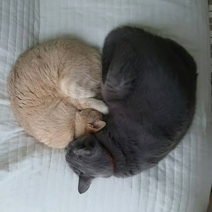 905e168a a561 4e92 a584 45ee820569e1