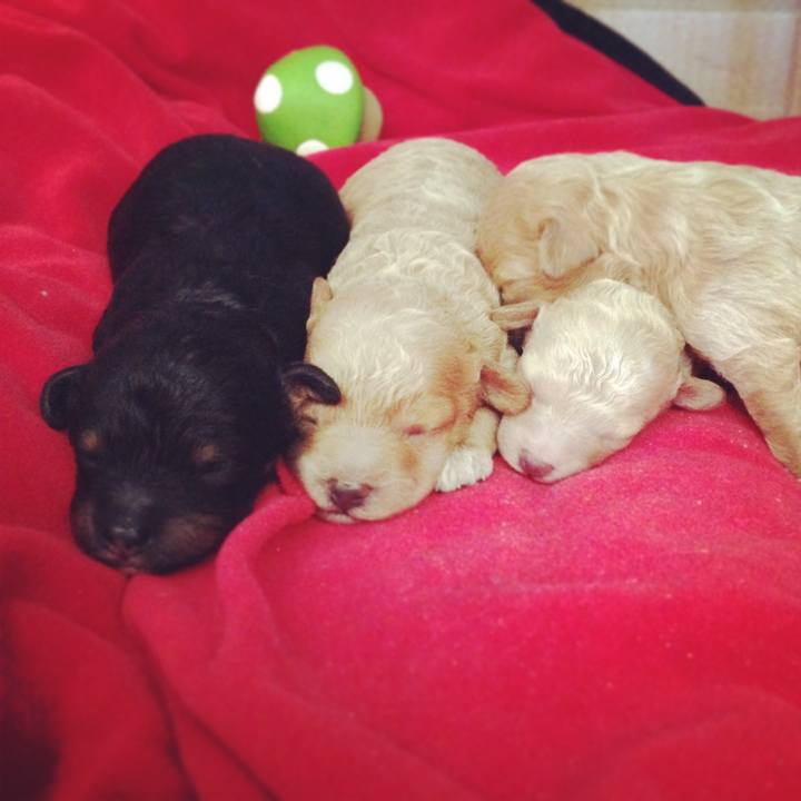 905e22a4 de07 455a a094 3659a8d4a6a7