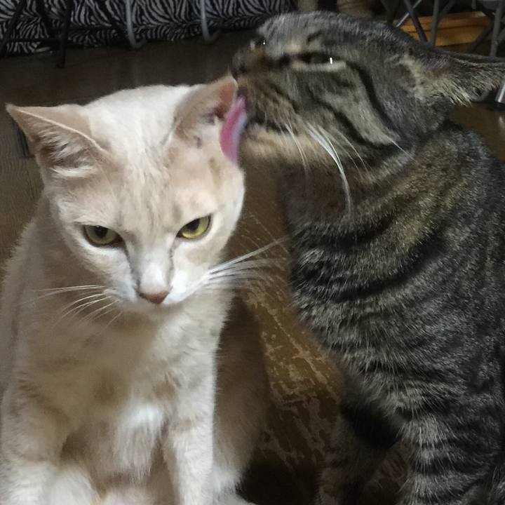 905f75e5 4ad0 4b34 bad9 d24f1cca4e4b