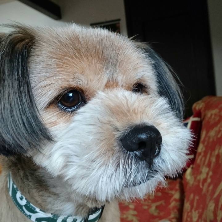 905f9a9e d4da 4adc 884f 1ba3cf5a6252