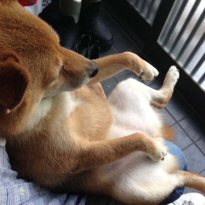 9060f65d f5fc 41b0 b2b7 9180d5876703