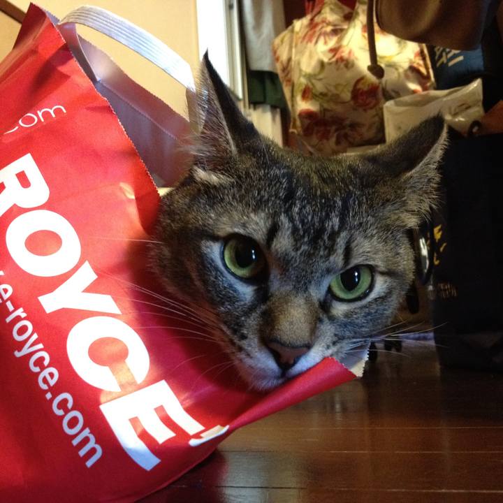 9060f8a5 3522 41fe 840b f42732f2c745