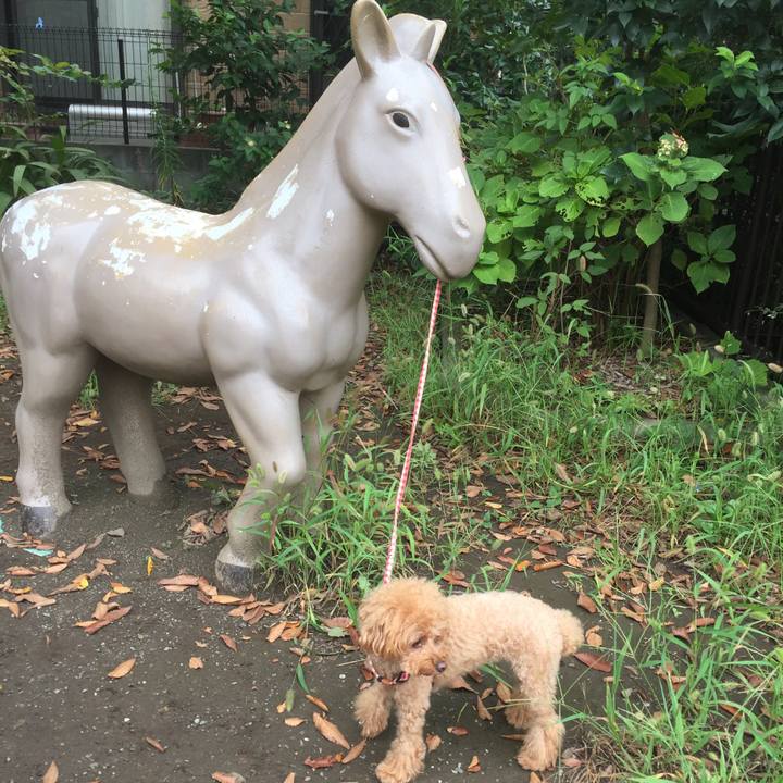 9060fa15 e1cc 49b6 9261 0148b43bbdcc