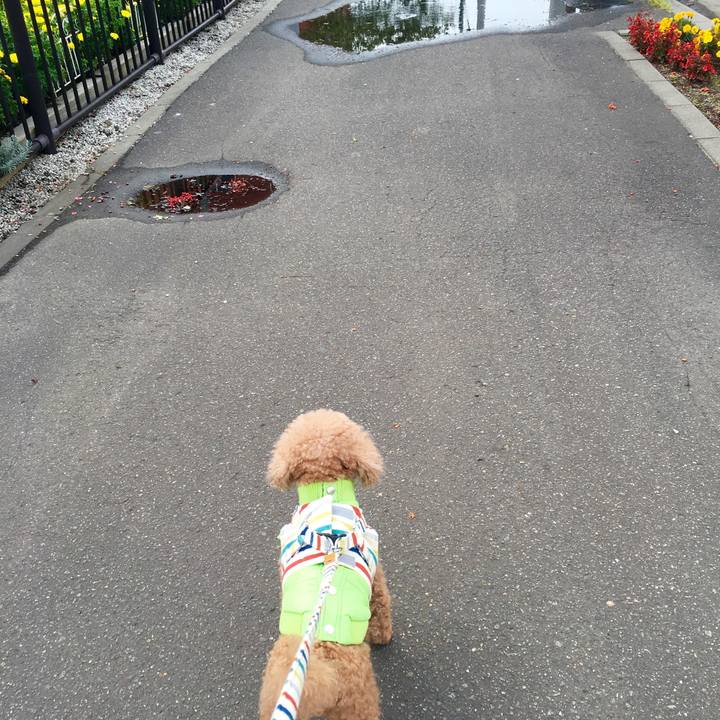 9061893b 7513 46b1 87e3 c0f5b344c21c