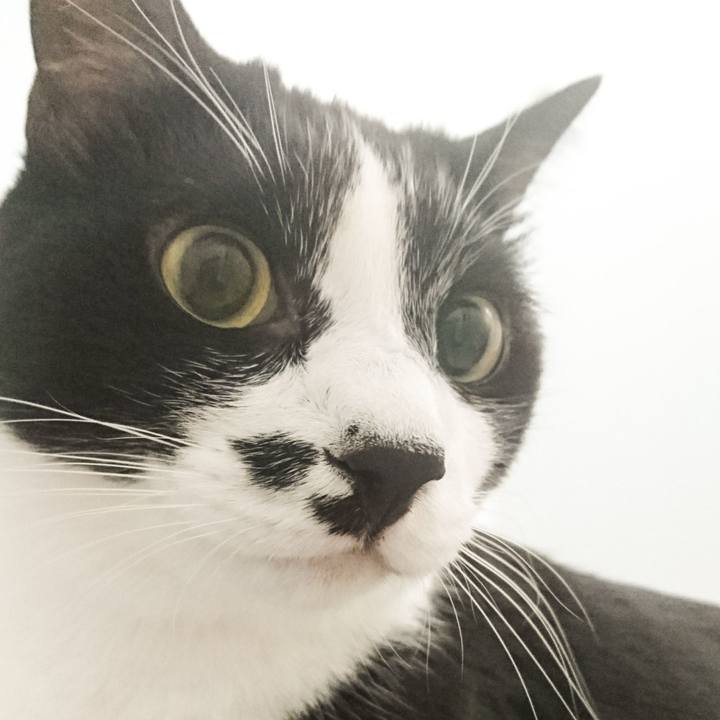 90618a17 ffe9 4cf0 9a93 1b50dcf72557