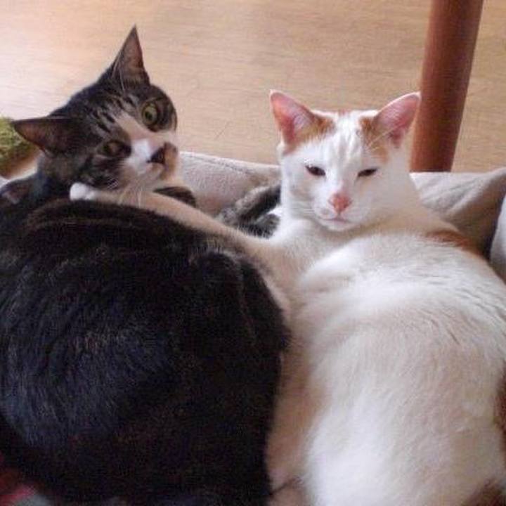 9061f469 11b6 4b7e a673 60fca7c717c3