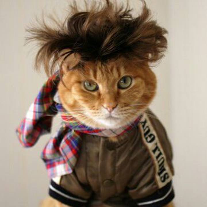 9061fab1 a223 47db 9b14 6cb466adb9f3